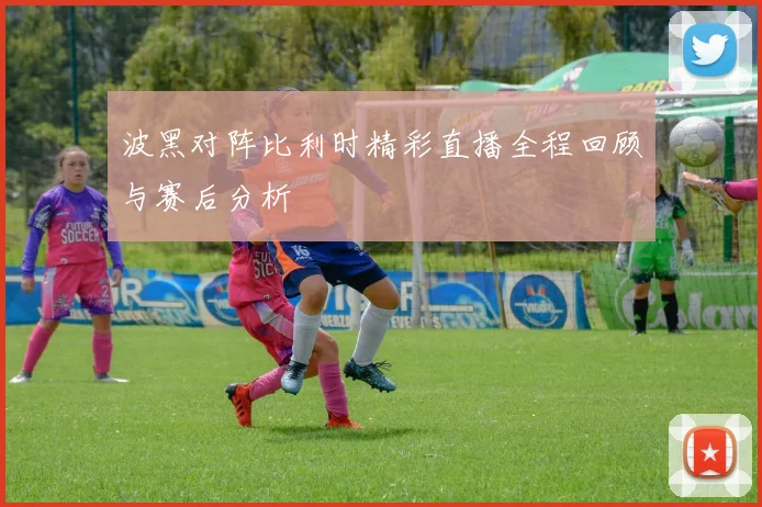 波黑对阵比利时精彩直播全程回顾与赛后分析