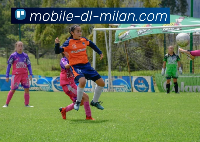 多媒体互动体验